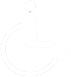 icona-disabile